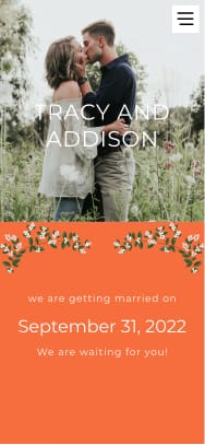 Tangerine Dream Design